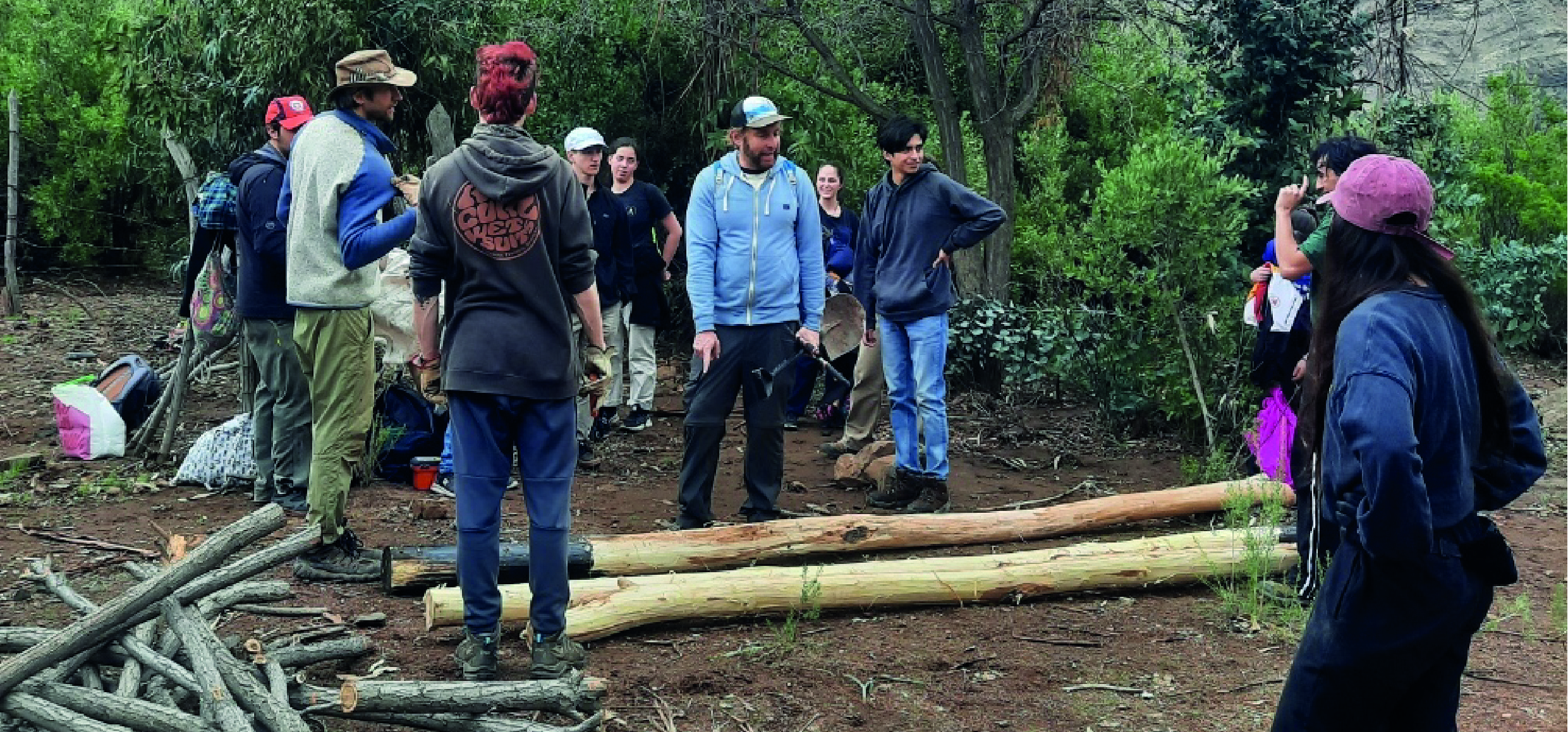 Agradecimiento a las manos voluntarias que aportaron a la reintroducción de guanacos en Chile Central