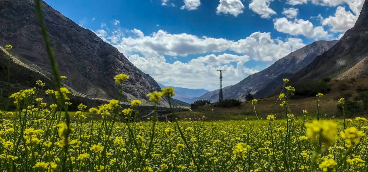 «Kintu»: Diálogos entre ciencia y saberes locales desde los Andes centrales